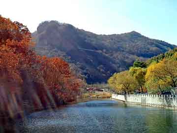 新澳天天开奖资料大全旅游团，月饼机价格